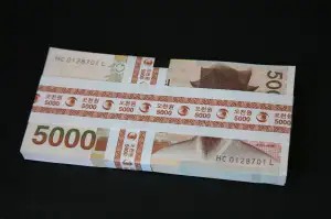 Jihokorejský Won